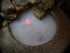 438 Longwood Gardens [2008 August 23]